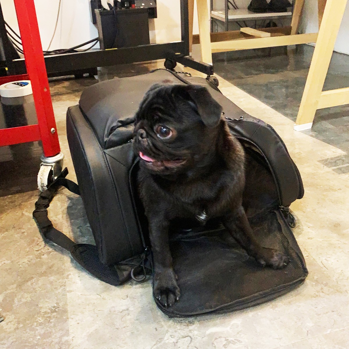 今月のGINZAアイドルに直撃! - Slide:6