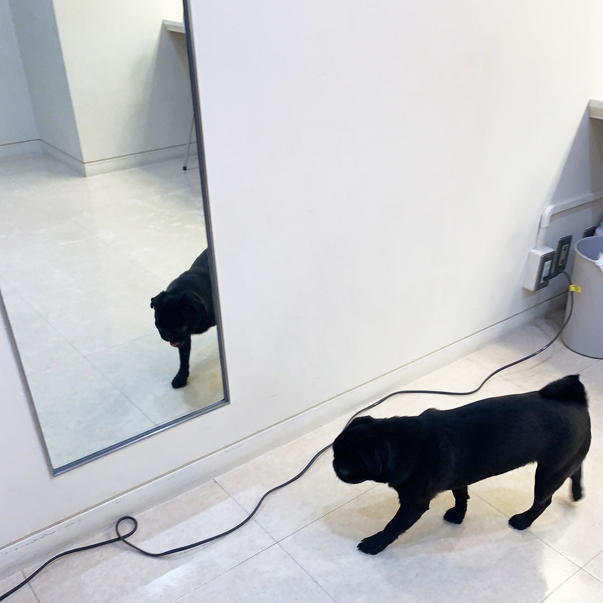 今月のGINZAアイドルに直撃! - Slide:4