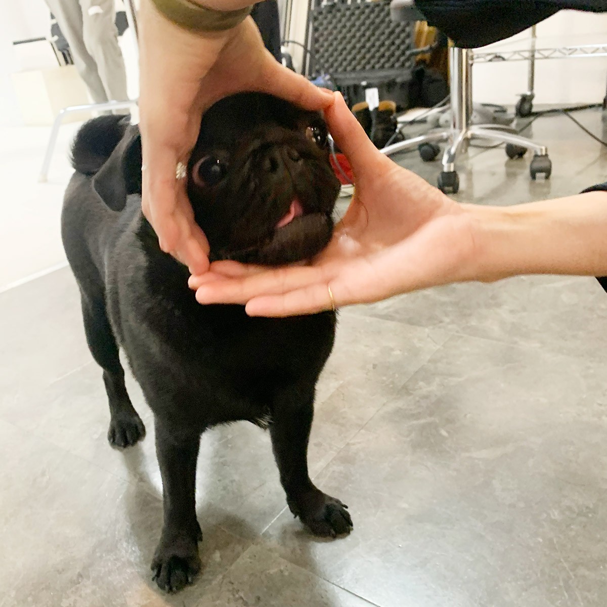 今月のGINZAアイドルに直撃! - Slide:3