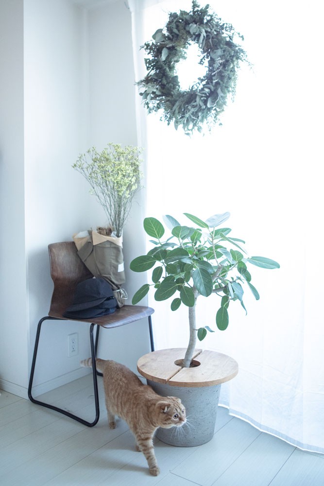 私と部屋　猫 - Slide:5