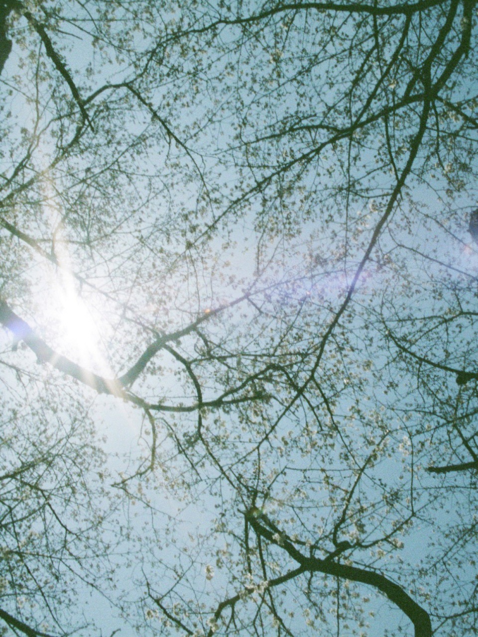 ノバレーゼ連載小説｜第7回