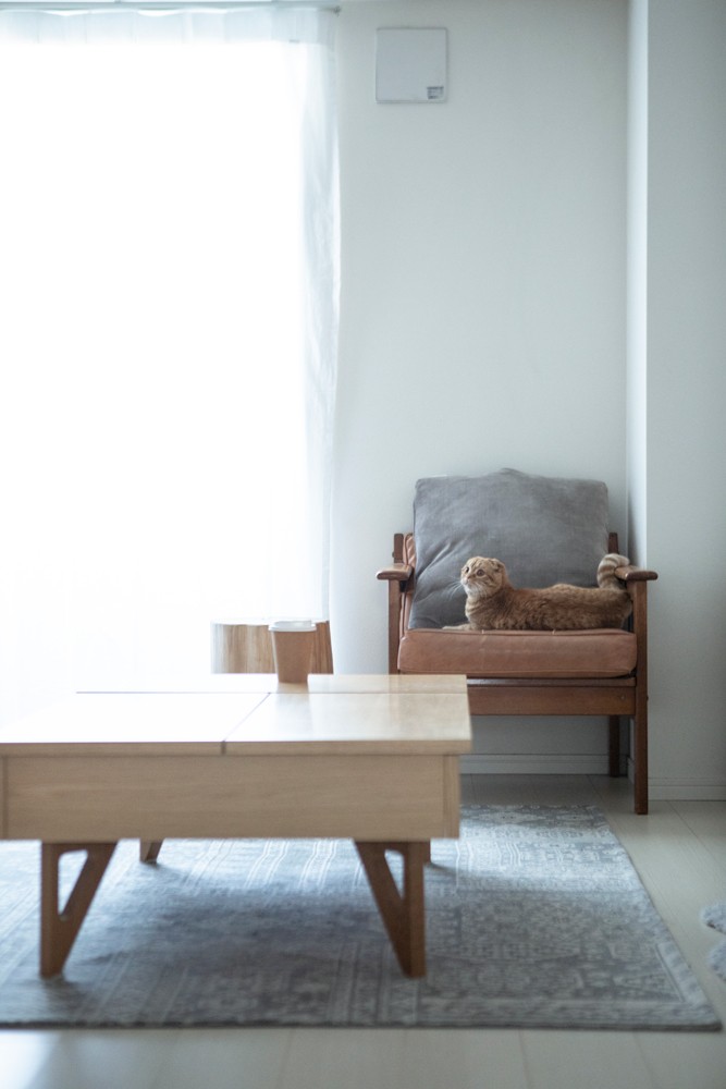 私と部屋　猫 - Slide:3