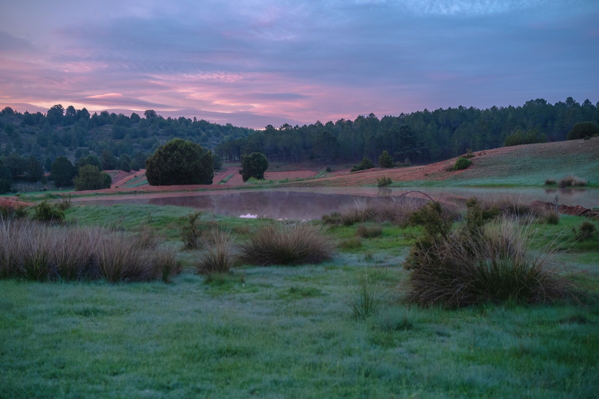 柿本ケンサク『TRANSLATOR』の作品 - Slide:2