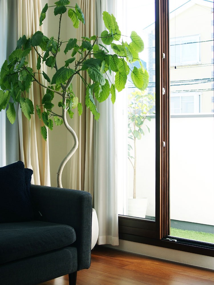 私と部屋 - Slide:1