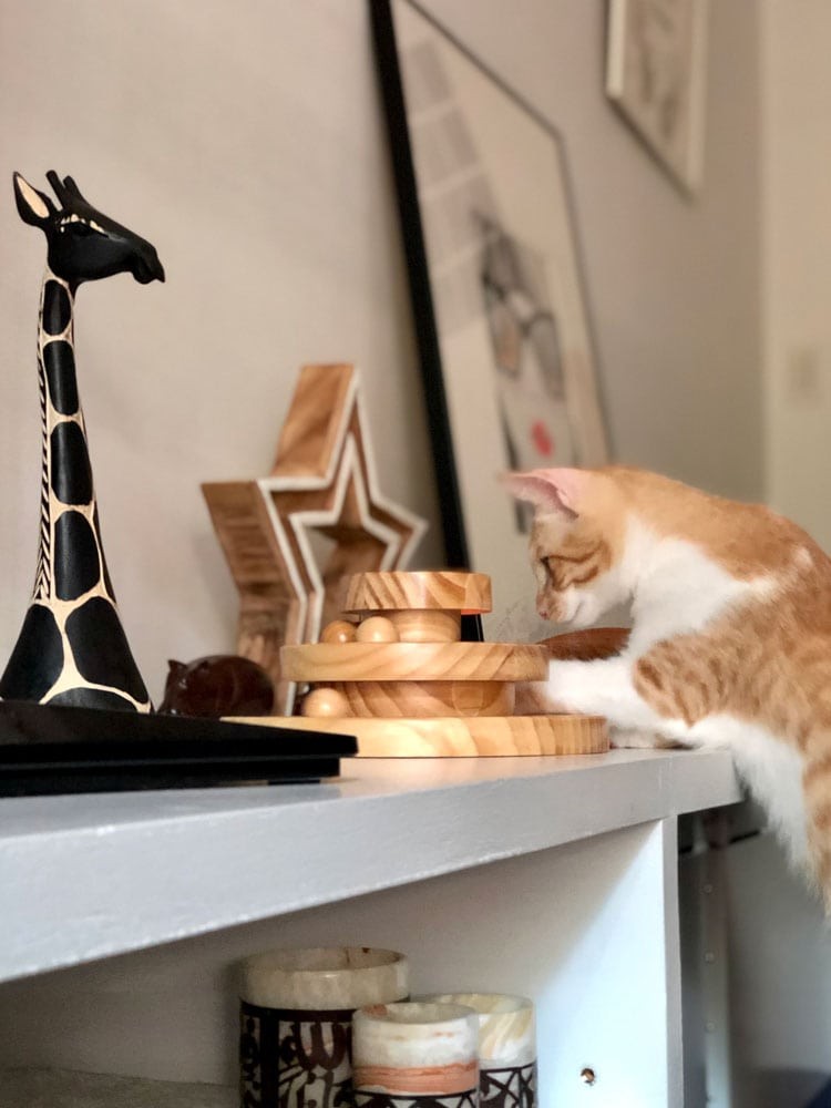 私と部屋 - Slide:3