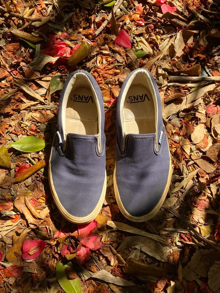 VANS｜スニーカー - Slide:1