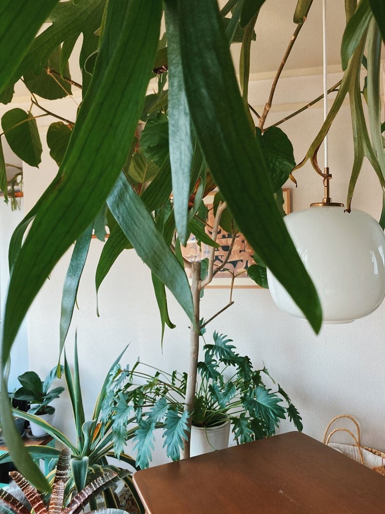 私と部屋 - Slide:2