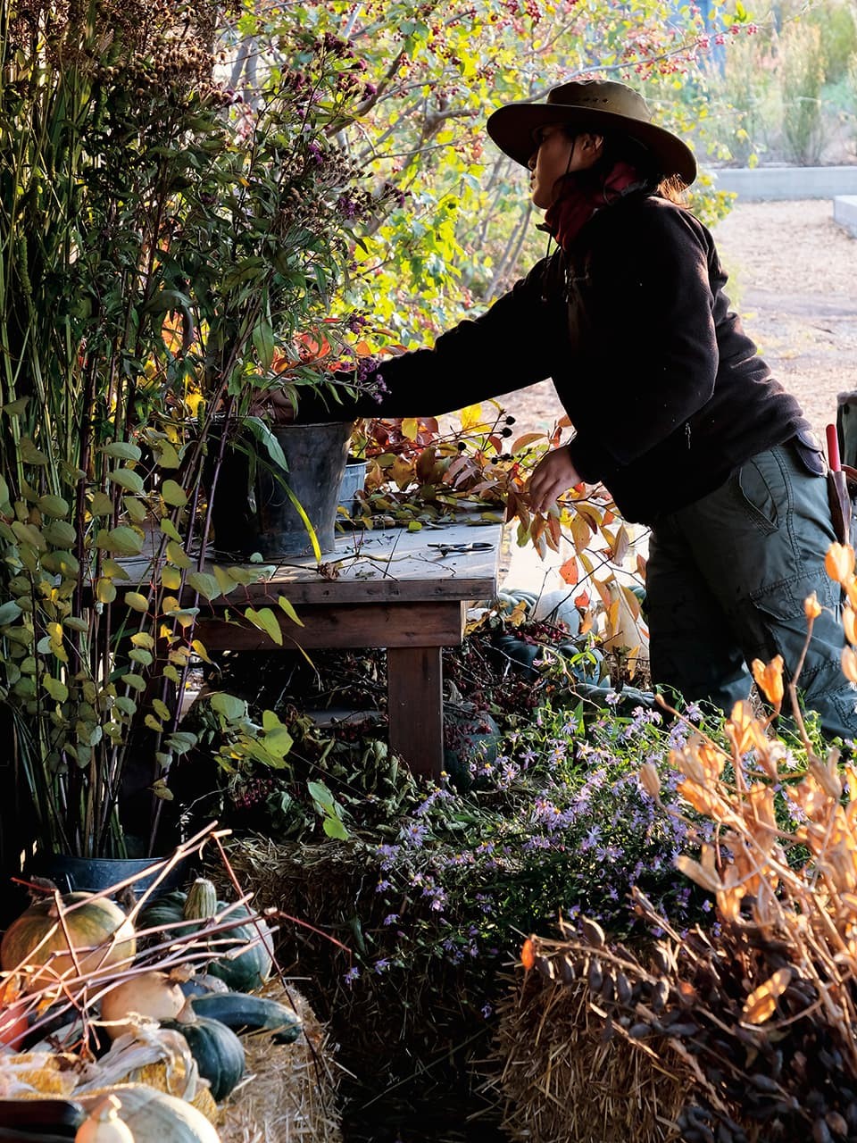 「十勝千年の森」ヘッドガーデナー・新谷みどり