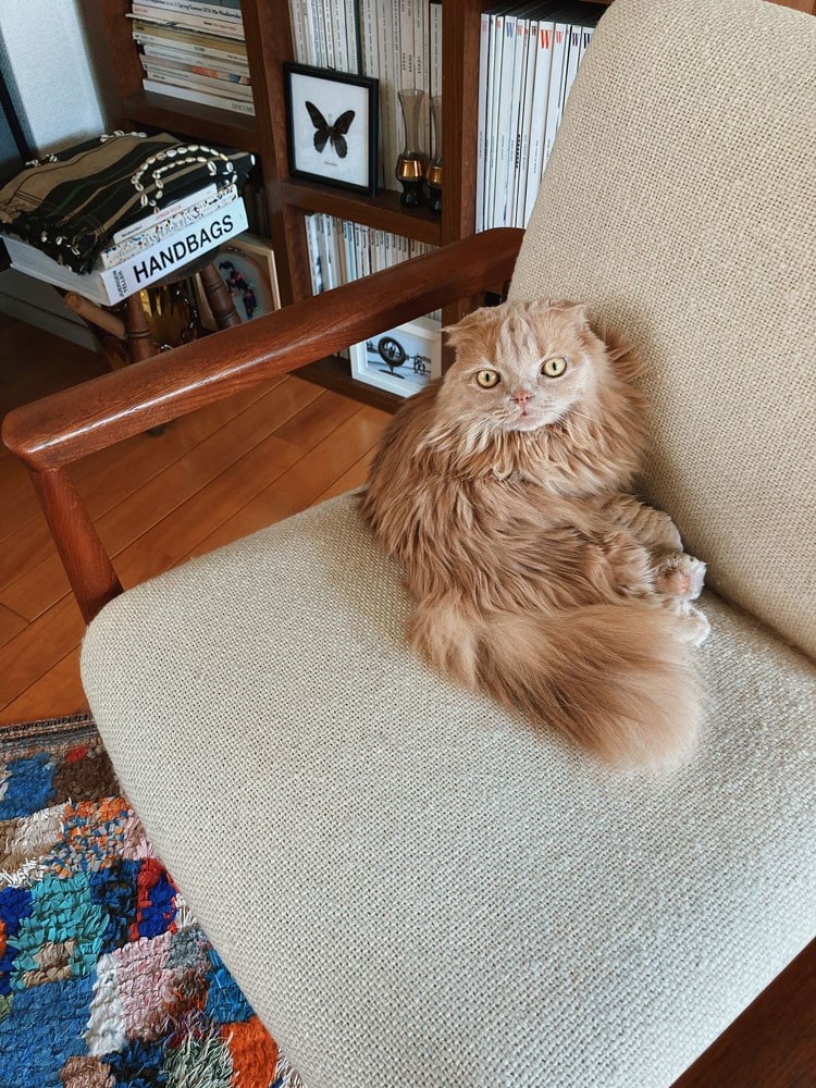 私と部屋 - Slide:3