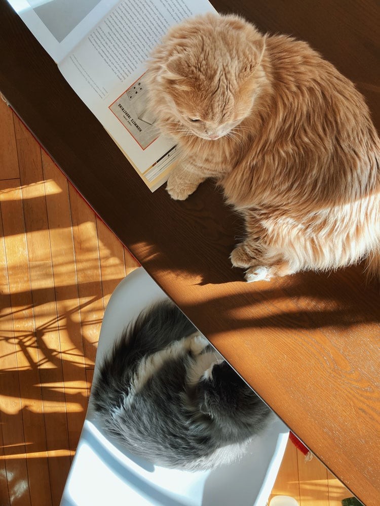 私と部屋 - Slide:1