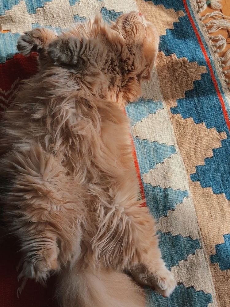 私と部屋 - Slide:6