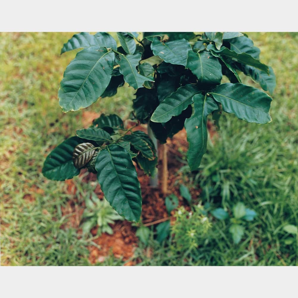 ハクイ 谷崎彩 小野塚秋良 - Slide:7