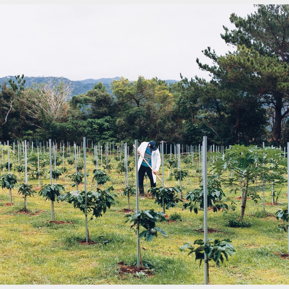 ハクイ 谷崎彩 小野塚秋良 - Slide:8