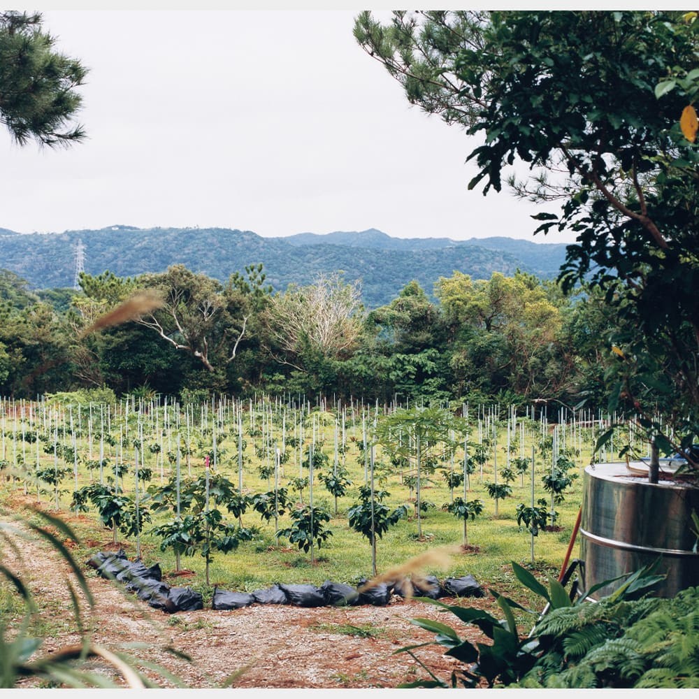 ハクイ 谷崎彩 小野塚秋良 - Slide:12