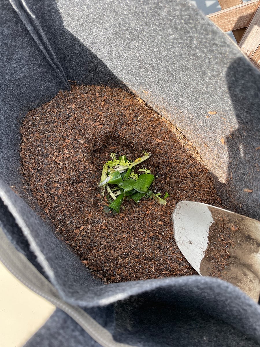 サステイナブルライフへの道!|コンポスト - Slide:2