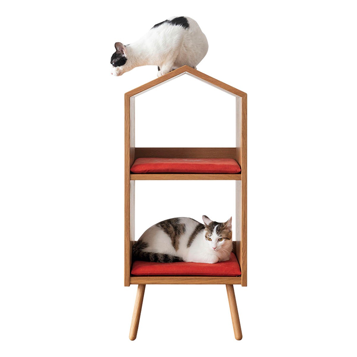 飛驒産業のネコハウス - Slide:4