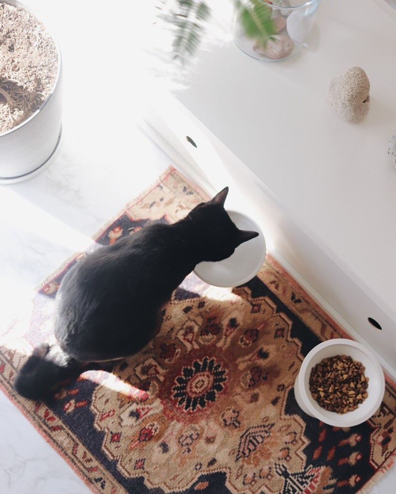 私と部屋 - Slide:11