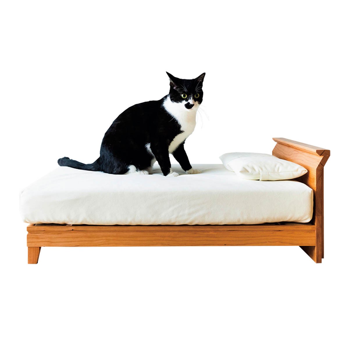 RONRONNERのベッド - Slide:5