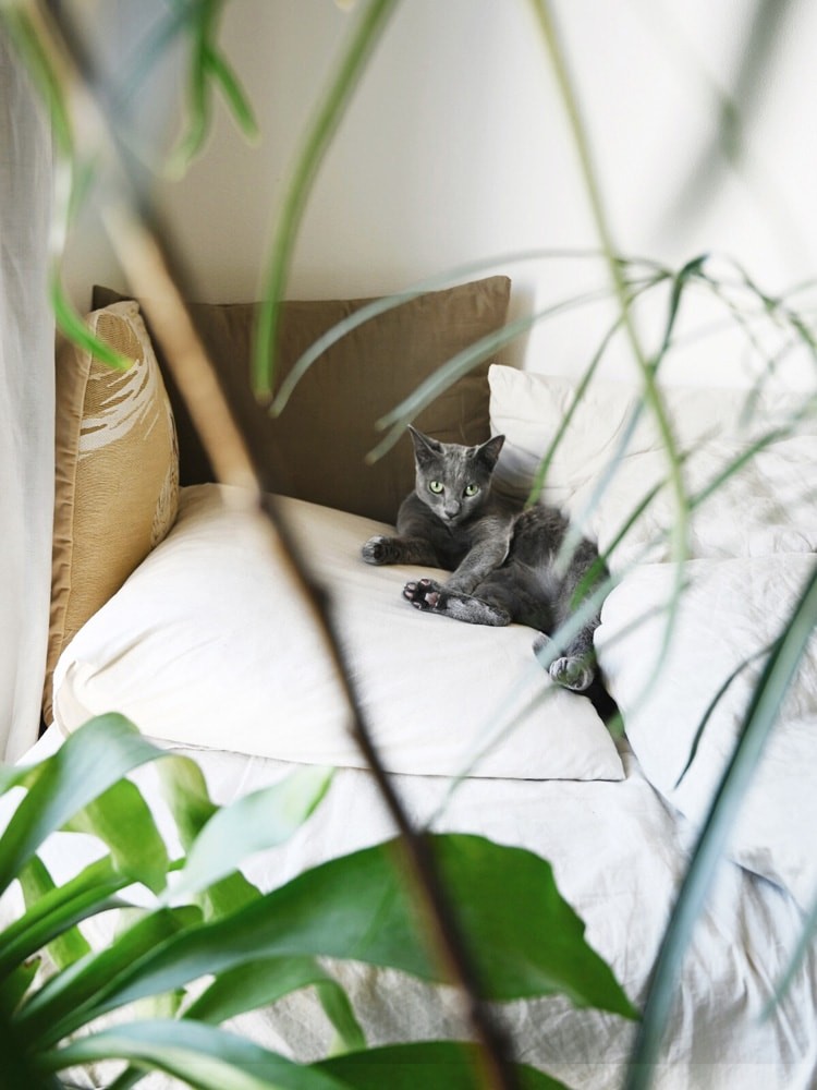 私と部屋 - Slide:7