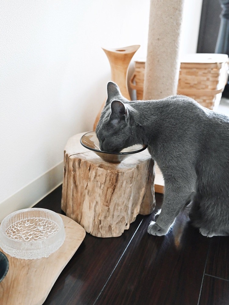 私と部屋 - Slide:10