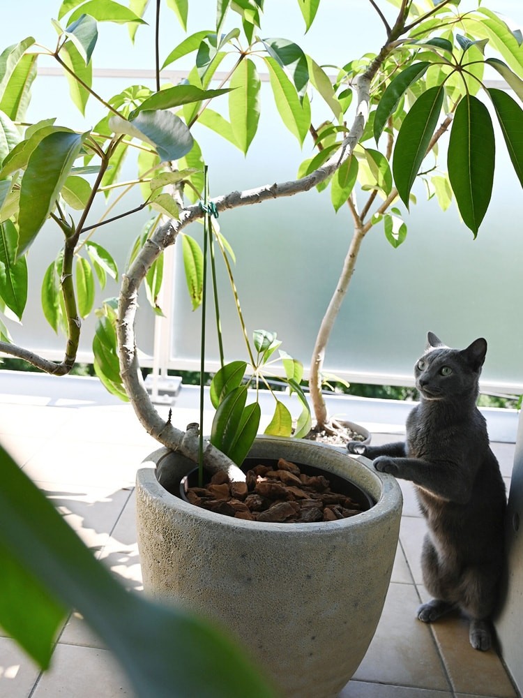 私と部屋 - Slide:12