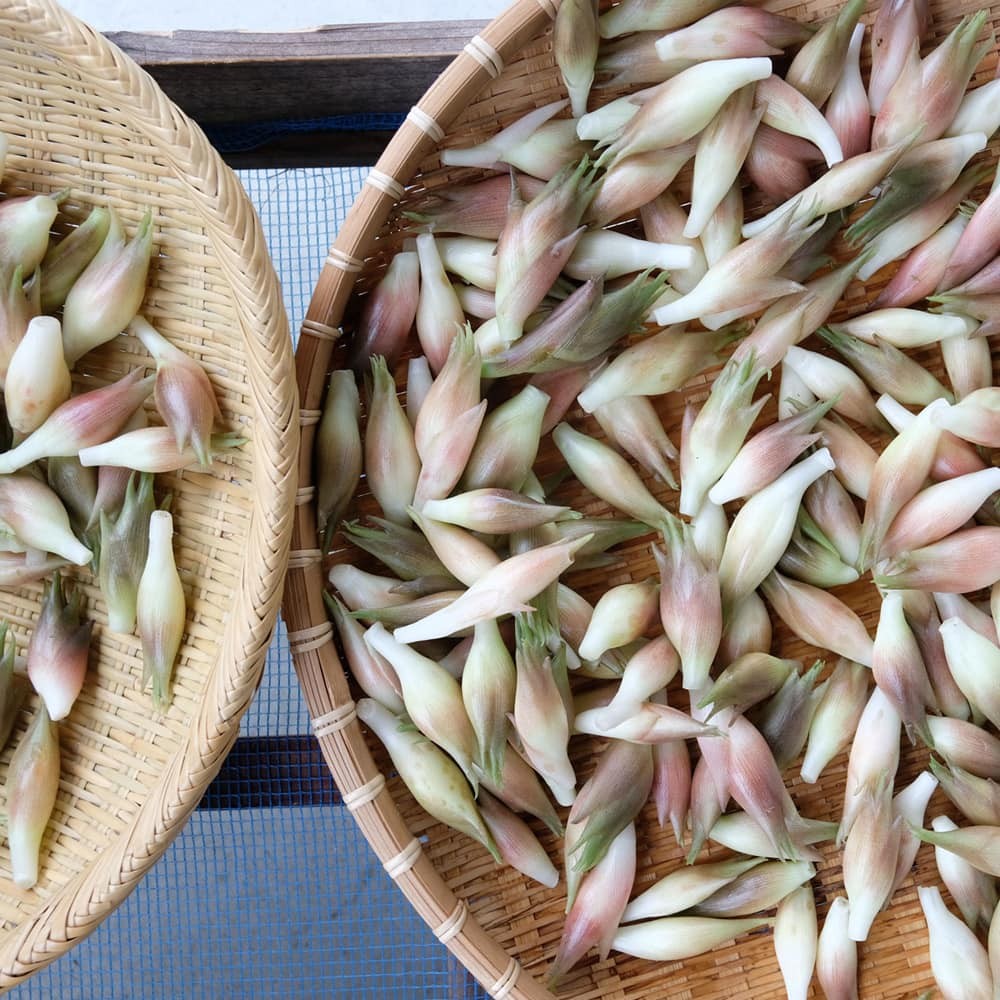 となりの5分メシ vol.66 ミョウガと白胡麻のぶっかけそうめん - Slide:6