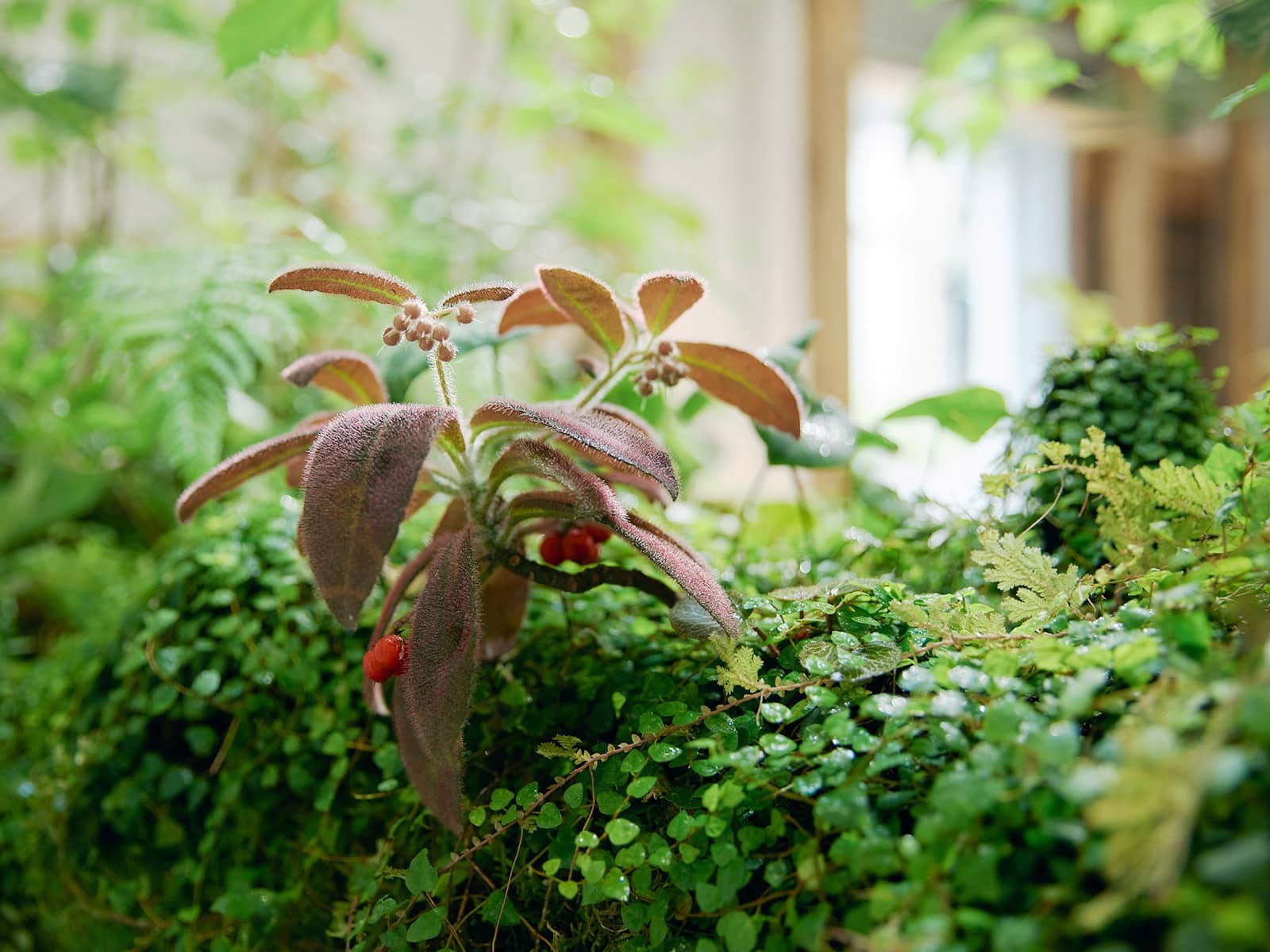 店内の様子 - Slide:4