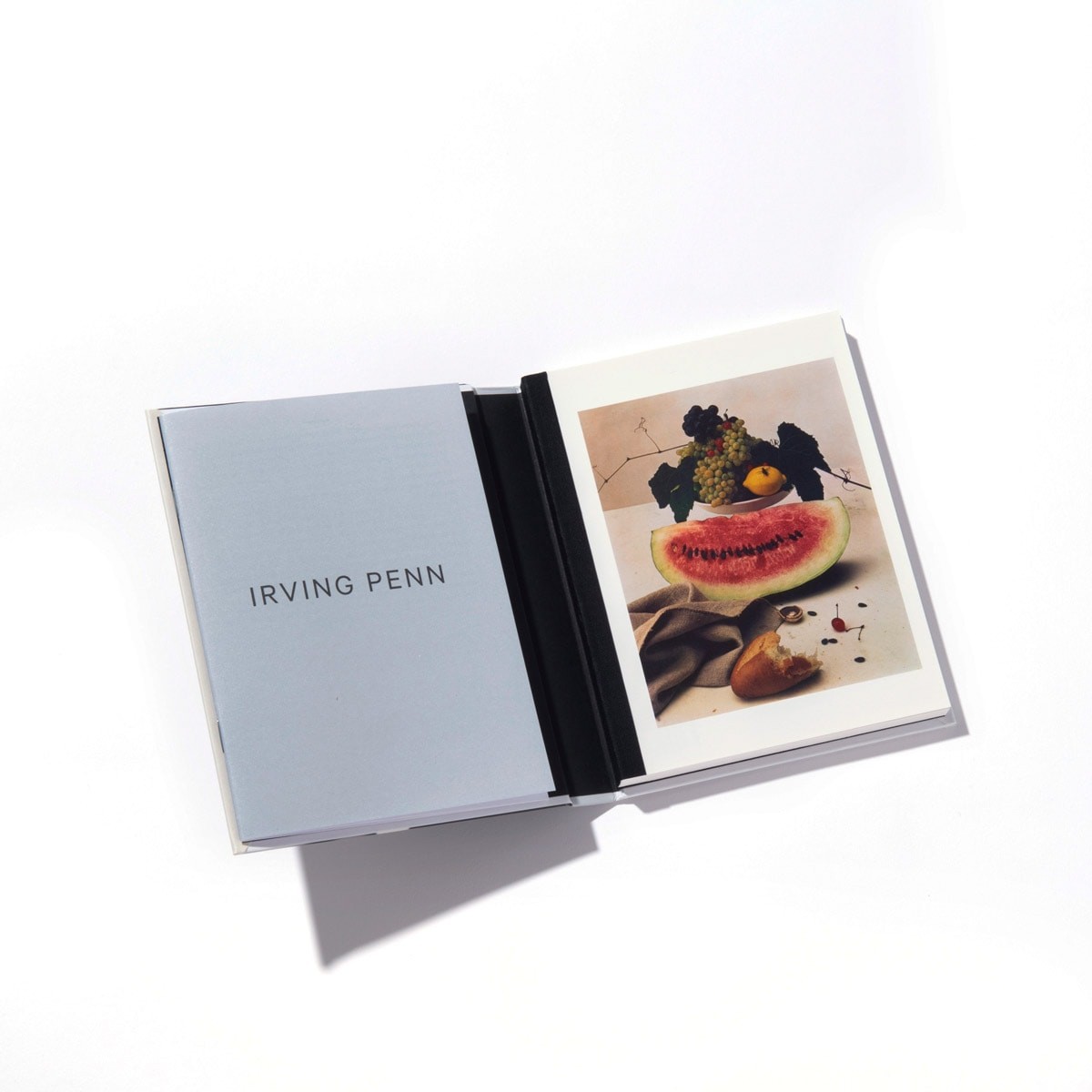 『Irving Penn』アーヴィング・ペン｜アートブック - Slide:4