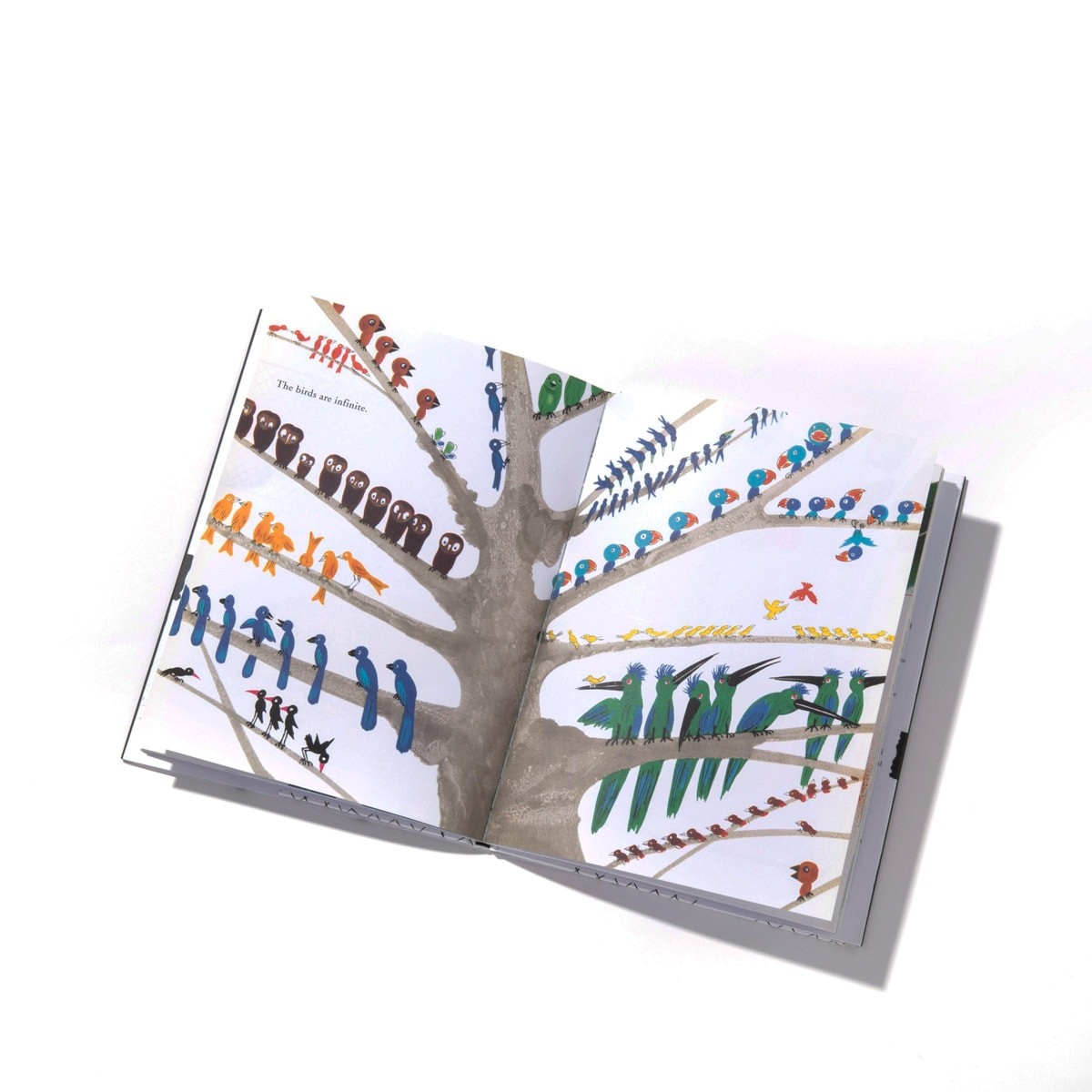 『Bruno Munari: Bruno Munari's Zoo』『Bruno Munari: Bruno Munari's Zoo』動物絵本｜アートブック - Slide:14