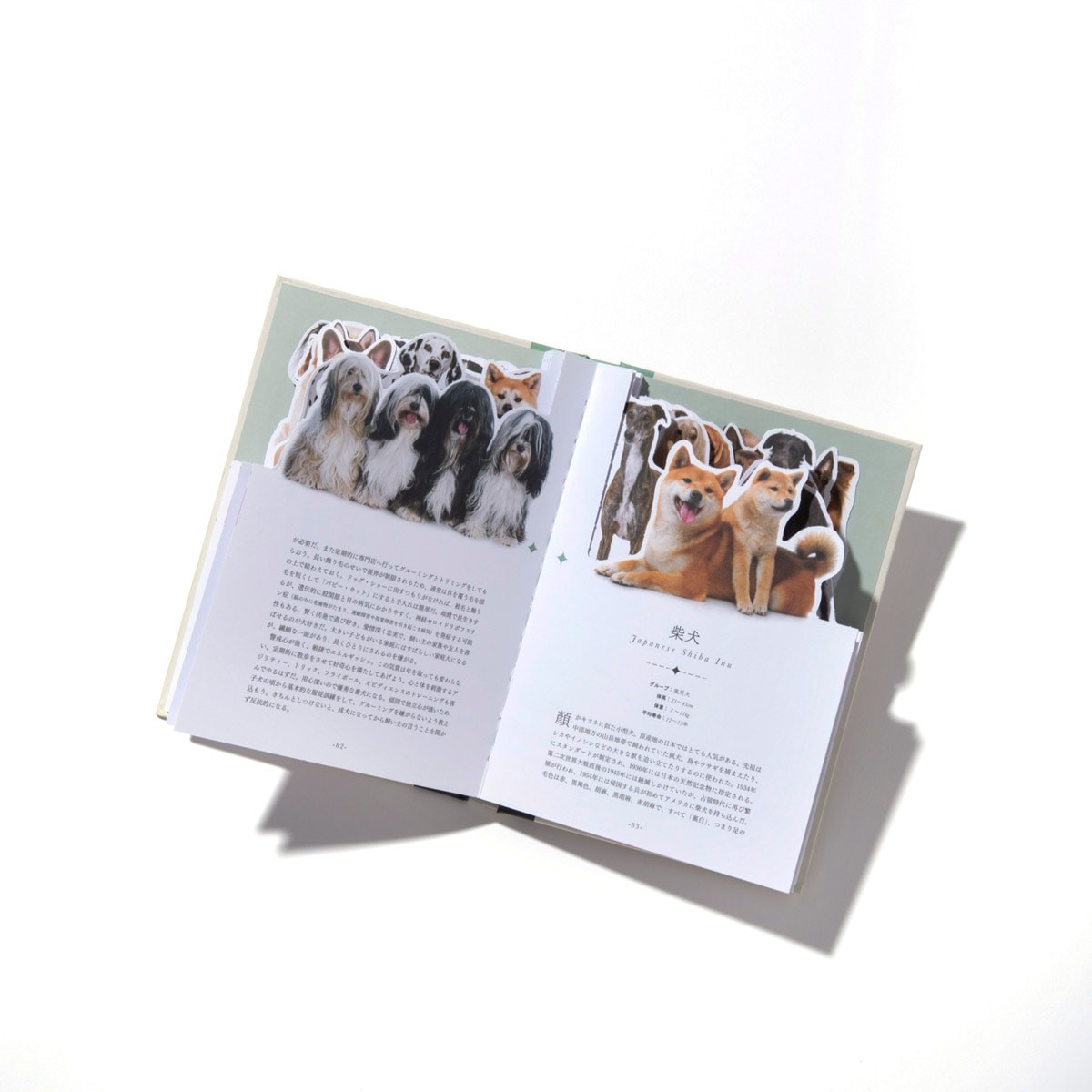 『My Picture Book 世界のいぬ』｜アートブック - Slide:6