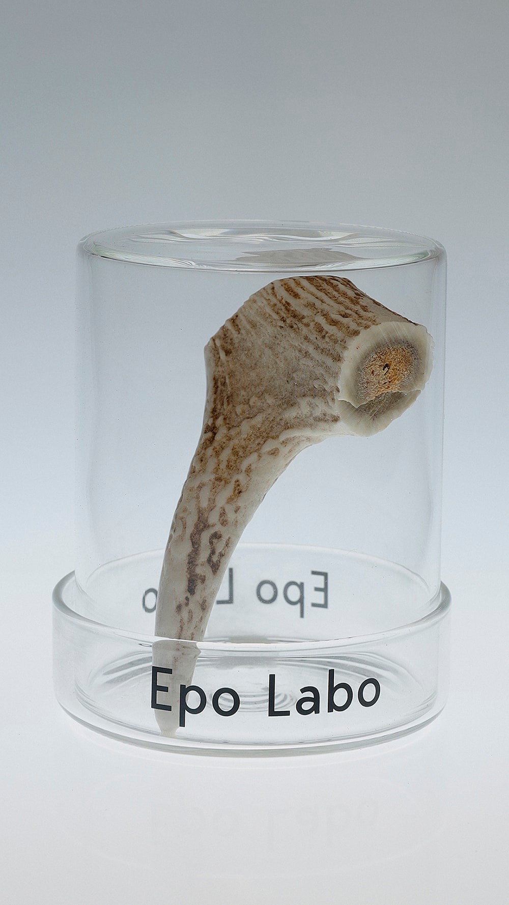 KENSHIN　Epo Labo 　ビューティ＆ユース　ユナイテッドアローズ 丸の内店　ポップアップ - Slide:2