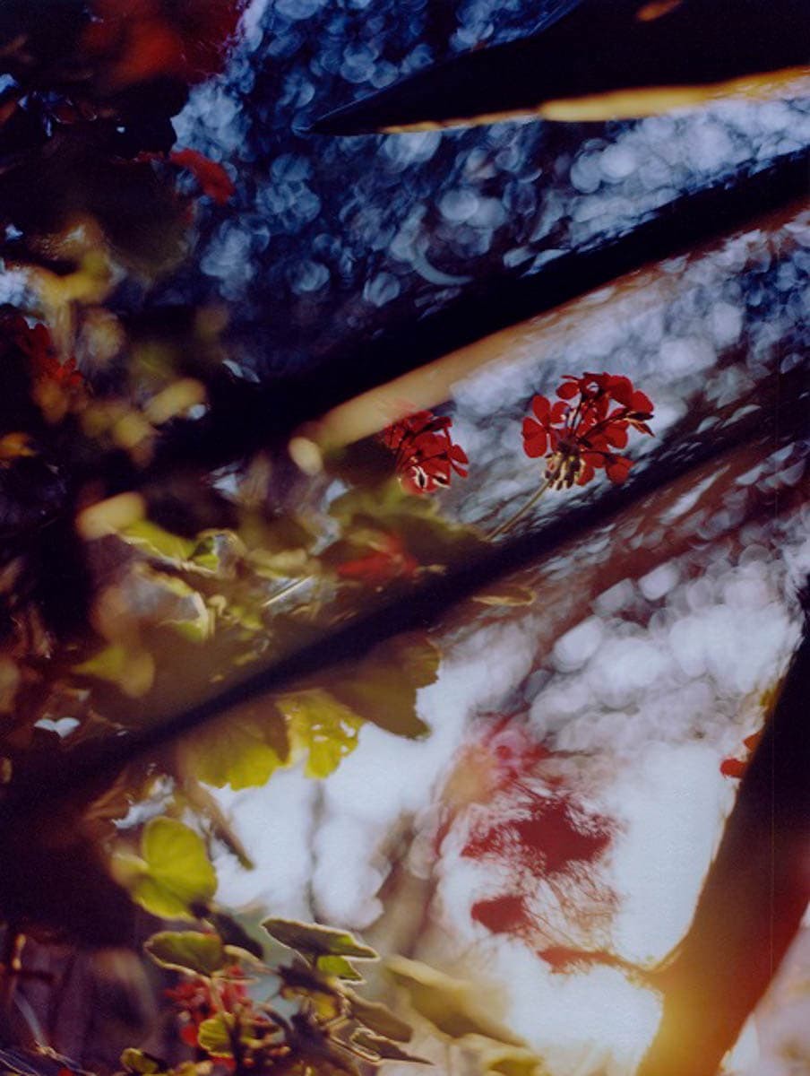 写真家・小浪次郎が切り取った、美しい日常。写真展『黄色い太陽–Burning Drop–』が渋谷PARCOで開催 - Slide:2