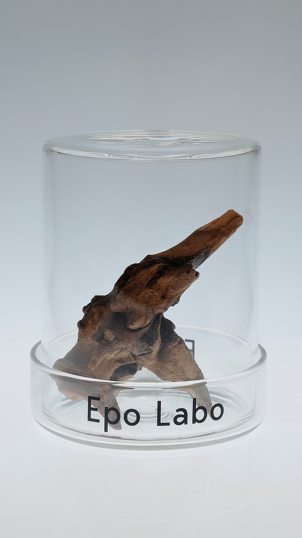 KENSHIN　Epo Labo 　ビューティ＆ユース　ユナイテッドアローズ 丸の内店　ポップアップ - Slide:9