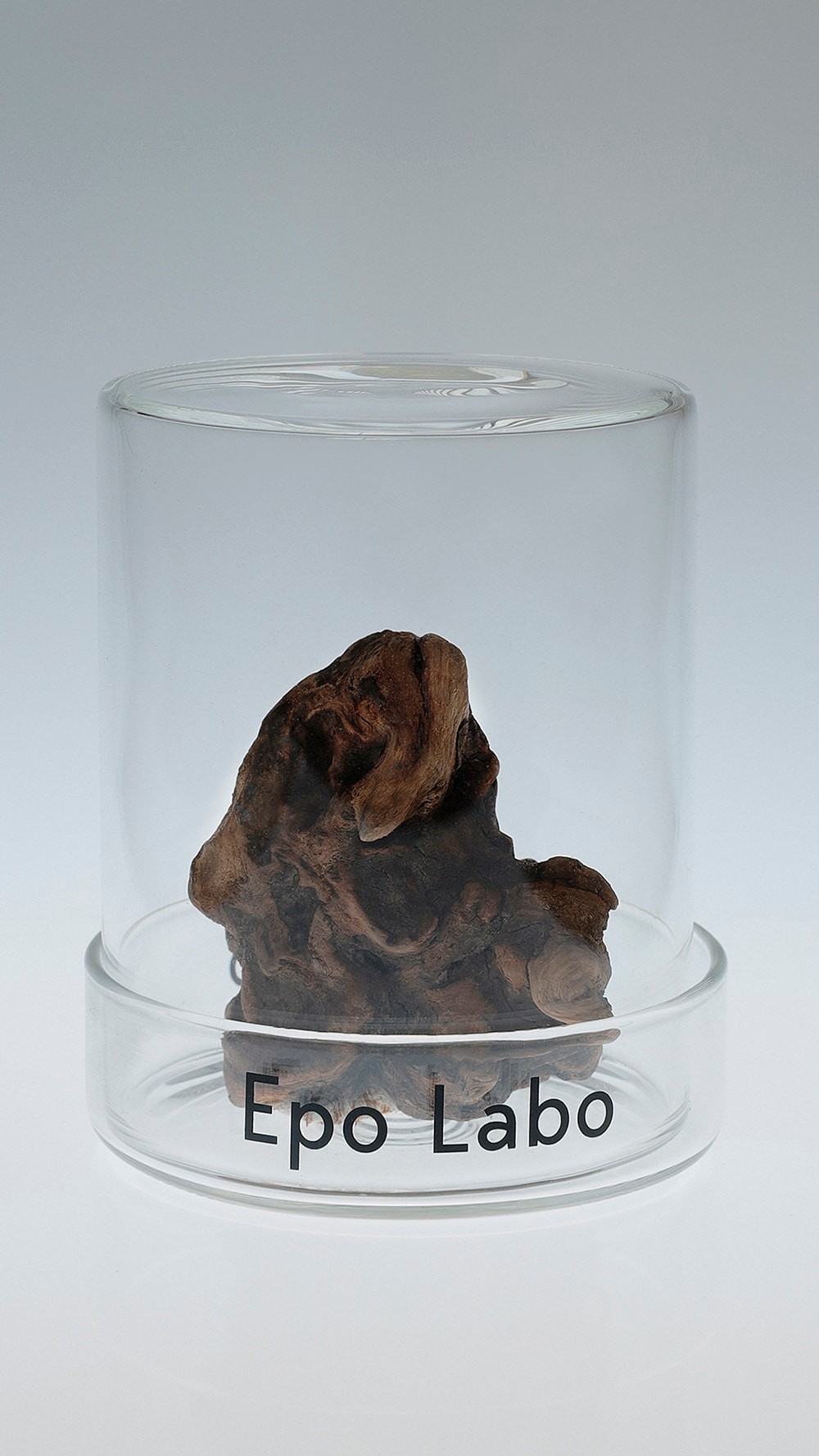 KENSHIN　Epo Labo 　ビューティ＆ユース　ユナイテッドアローズ 丸の内店　ポップアップ - Slide:10