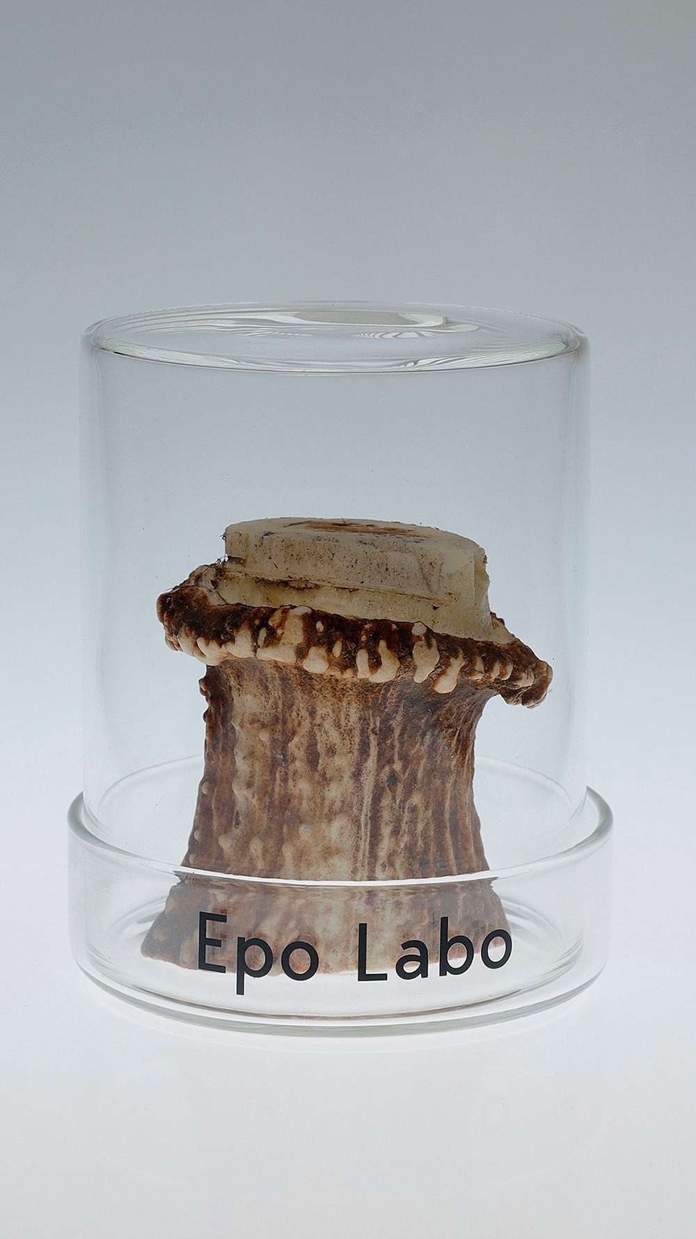 KENSHIN　Epo Labo 　ビューティ＆ユース　ユナイテッドアローズ 丸の内店　ポップアップ - Slide:6