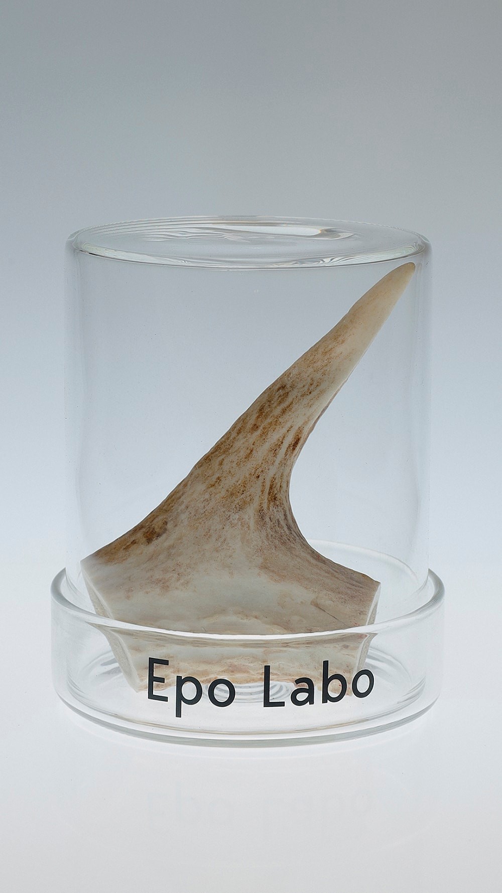 KENSHIN　Epo Labo 　ビューティ＆ユース　ユナイテッドアローズ 丸の内店　ポップアップ - Slide:3