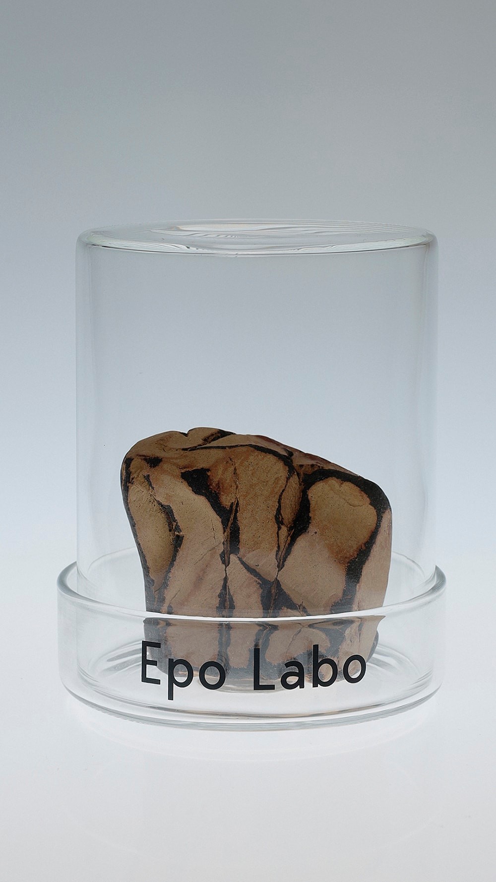 KENSHIN　Epo Labo 　ビューティ＆ユース　ユナイテッドアローズ 丸の内店　ポップアップ - Slide:15