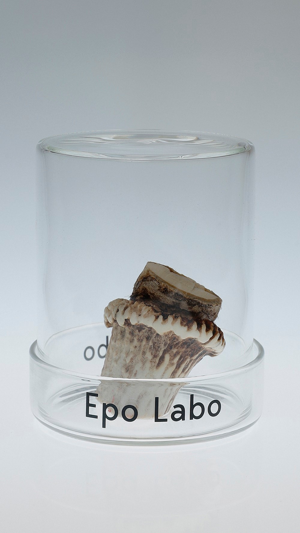 KENSHIN　Epo Labo 　ビューティ＆ユース　ユナイテッドアローズ 丸の内店　ポップアップ - Slide:5