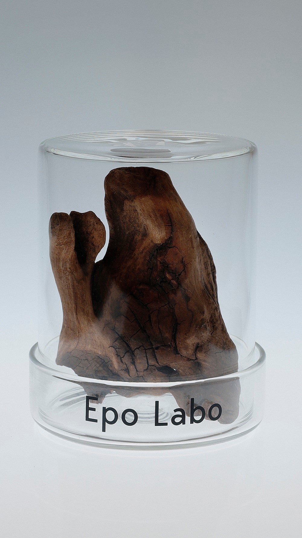 KENSHIN　Epo Labo 　ビューティ＆ユース　ユナイテッドアローズ 丸の内店　ポップアップ - Slide:7