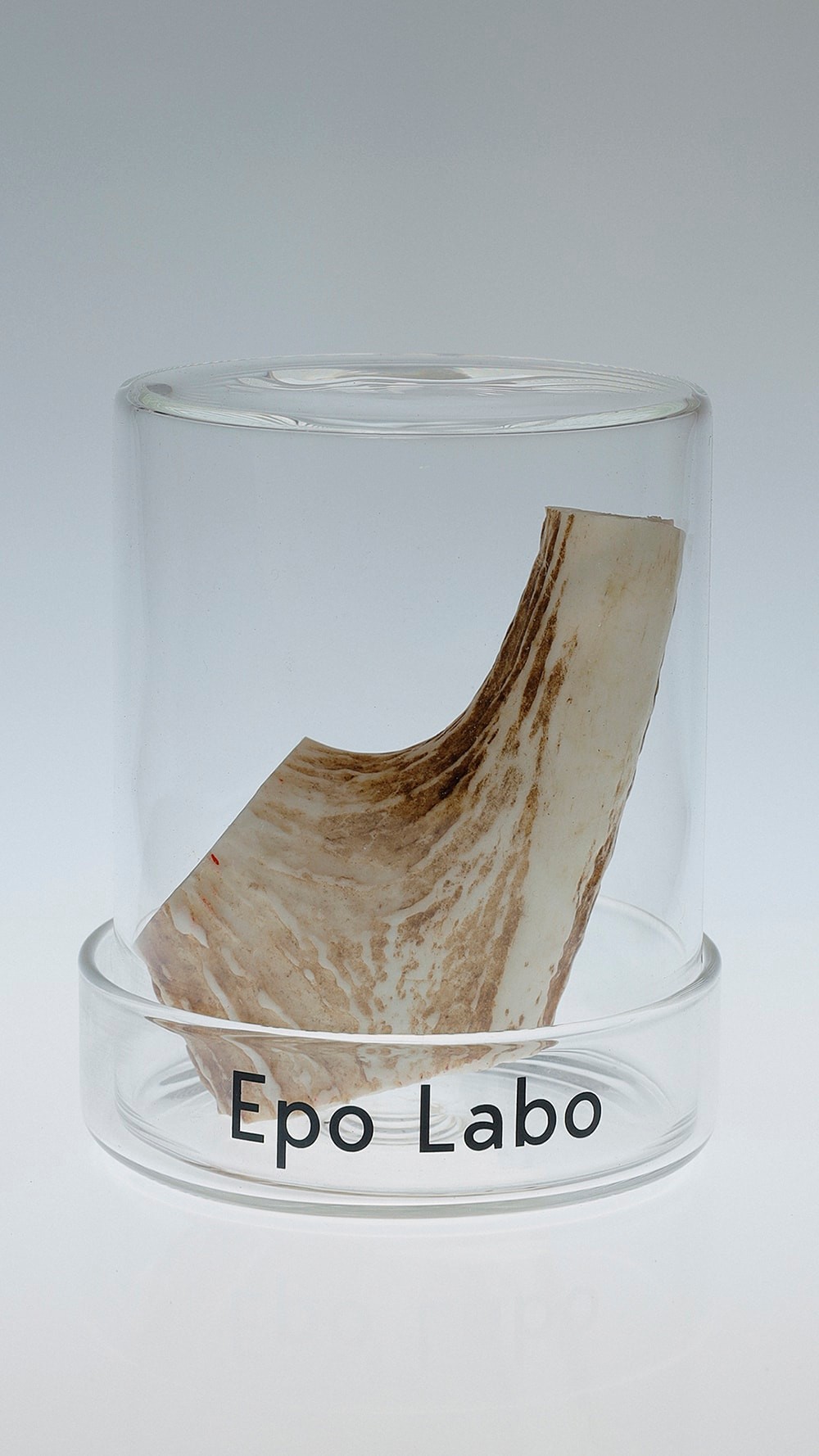 KENSHIN　Epo Labo 　ビューティ＆ユース　ユナイテッドアローズ 丸の内店　ポップアップ - Slide:4