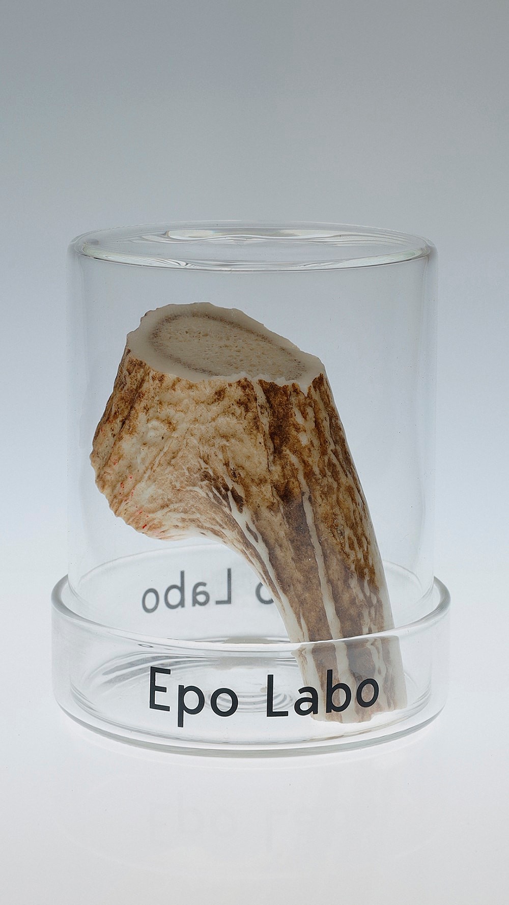 KENSHIN　Epo Labo 　ビューティ＆ユース　ユナイテッドアローズ 丸の内店　ポップアップ - Slide:1