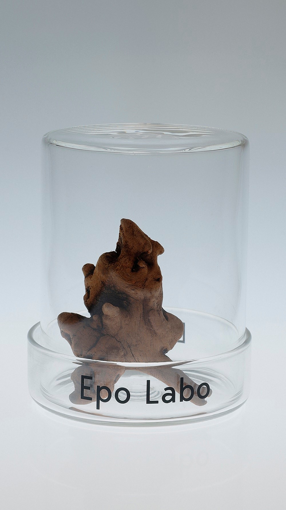 KENSHIN　Epo Labo 　ビューティ＆ユース　ユナイテッドアローズ 丸の内店　ポップアップ - Slide:8