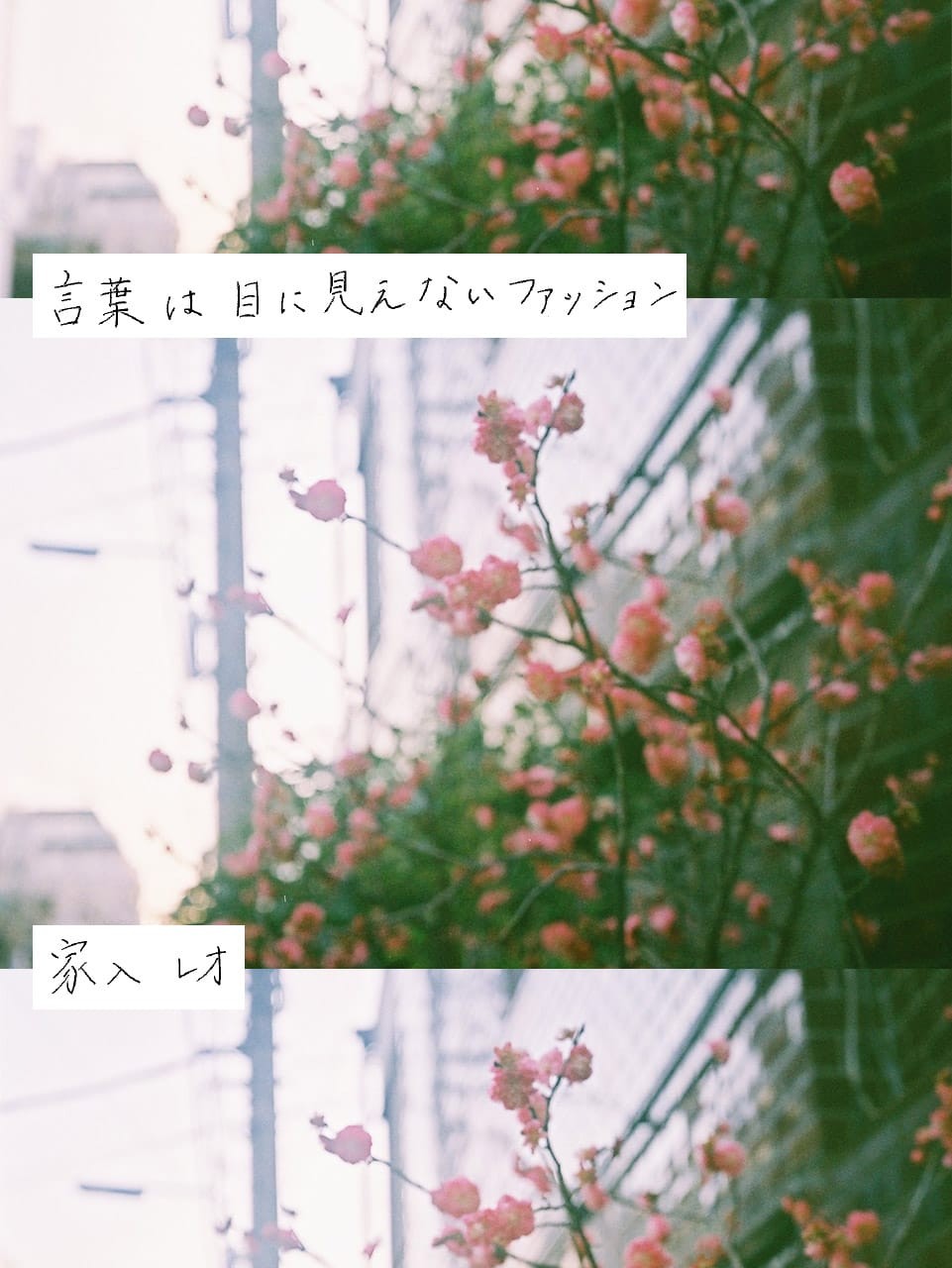 家入レオ「言葉は目に見えないファッション」