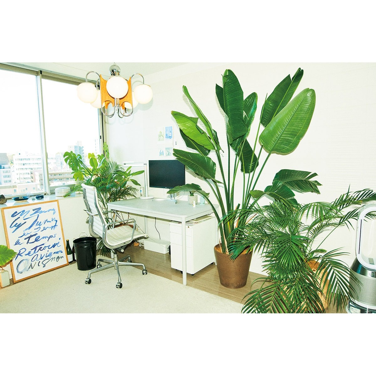 部屋 観葉植物 木本梨絵/クリエイティブディレクター - Slide:1