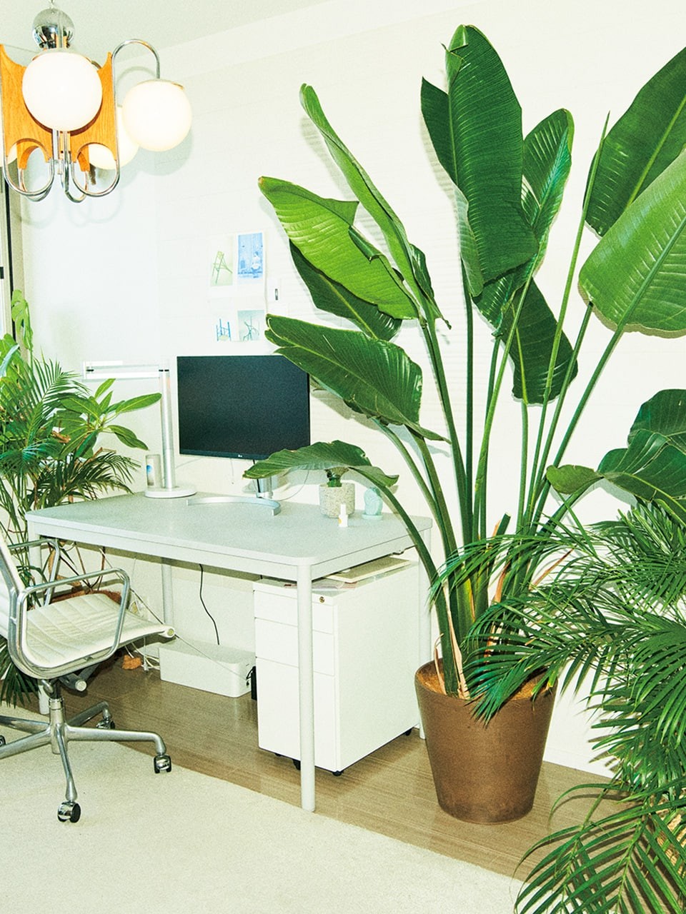 部屋　観葉植物　木本梨絵／クリエイティブディレクター