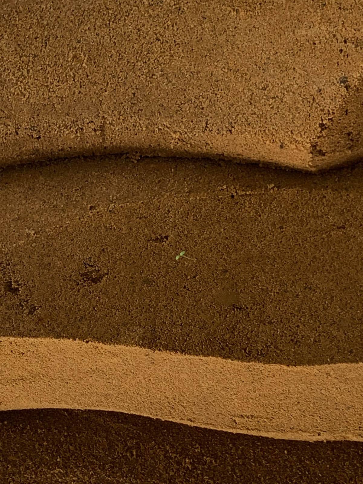 夜な夜な踊るデザイナー、街を走り抜けるスケーター、街中をパレードする卒業生。お祭り気分のデンマークより、mayanoueのCPH通信 02 - Slide:8