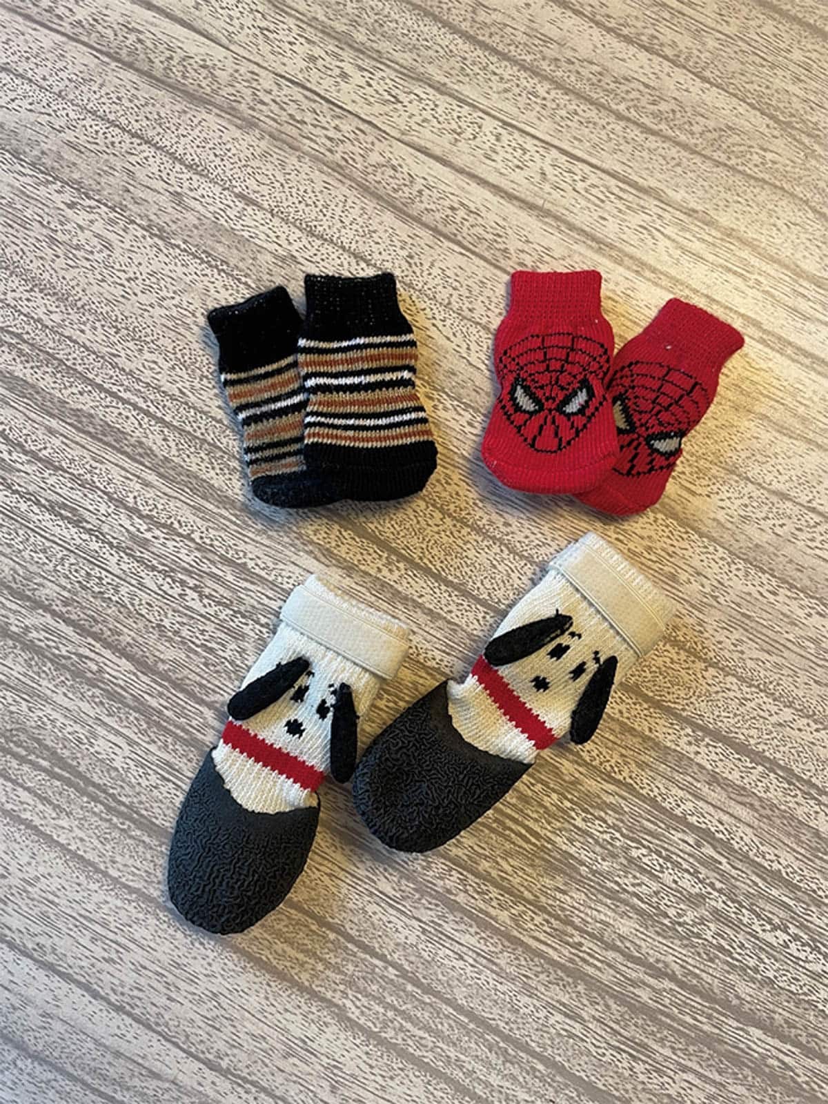 “ウチの子”の愛用品 vol.3 エモン美由貴&エモン久瑠美×マイロ - Slide:2