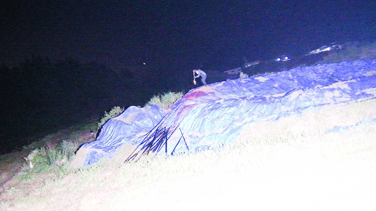 『さばかれえぬ私へ  TCAA 2021-2023 受賞記念展』｜G’s ART REVIEW - Slide:2