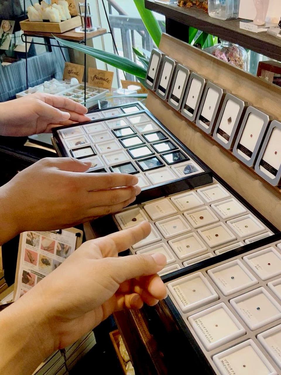 鉱物カフェ「Mineral Muru」