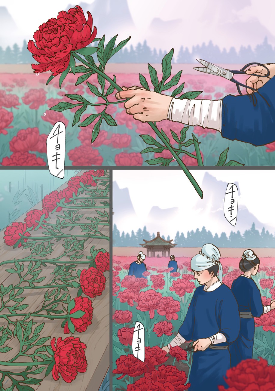 薔薇が咲くときp1